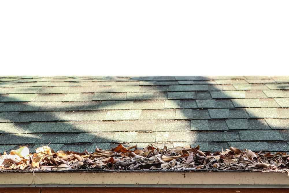Roof Cleaning Services in Southampton, NY