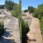 Pressure Wash Before and After