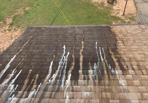 roof cleaning